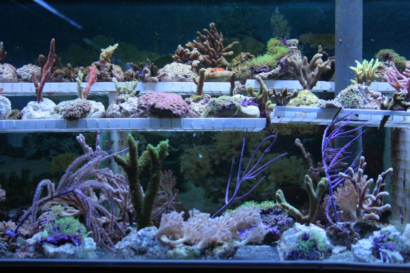 Killikus&reg; Fotographie